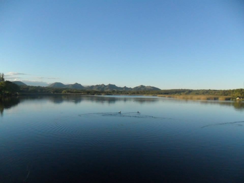 vista al dique con patos nadando