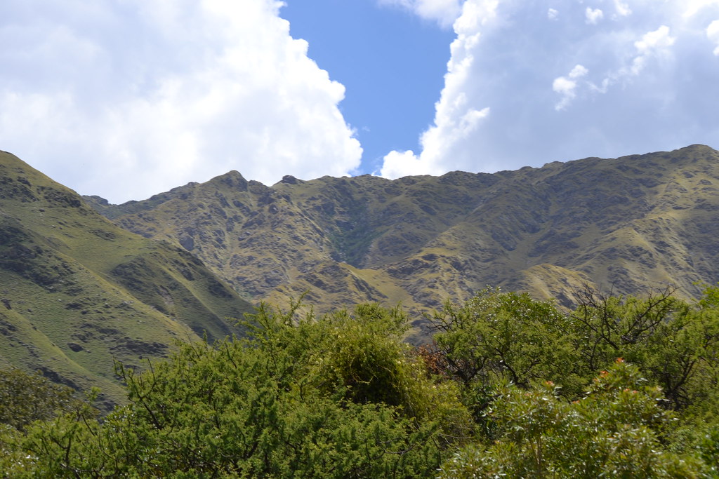 árboles, montañas y nubes, Merlo