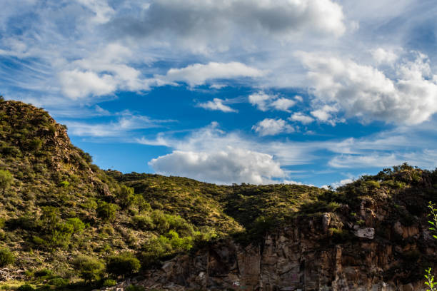 vista del cielo azul y las montañas con arbustos bajo un día luminoso